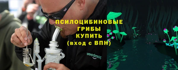 apvp Осинники