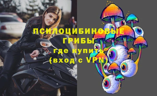 сатива Алзамай