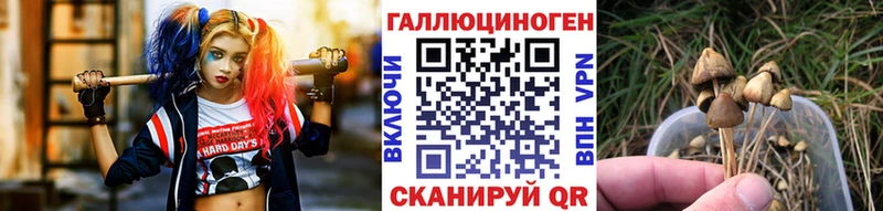 Псилоцибиновые грибы мухоморы  наркотики  Йошкар-Ола 